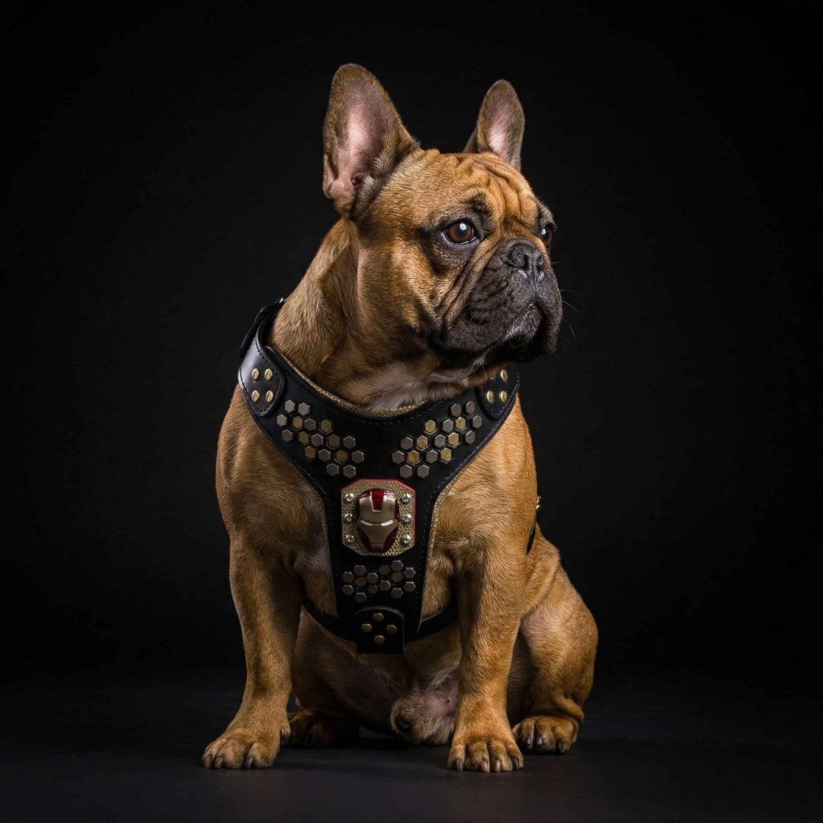 Bestia Irondog Leather Medium Dog Harness