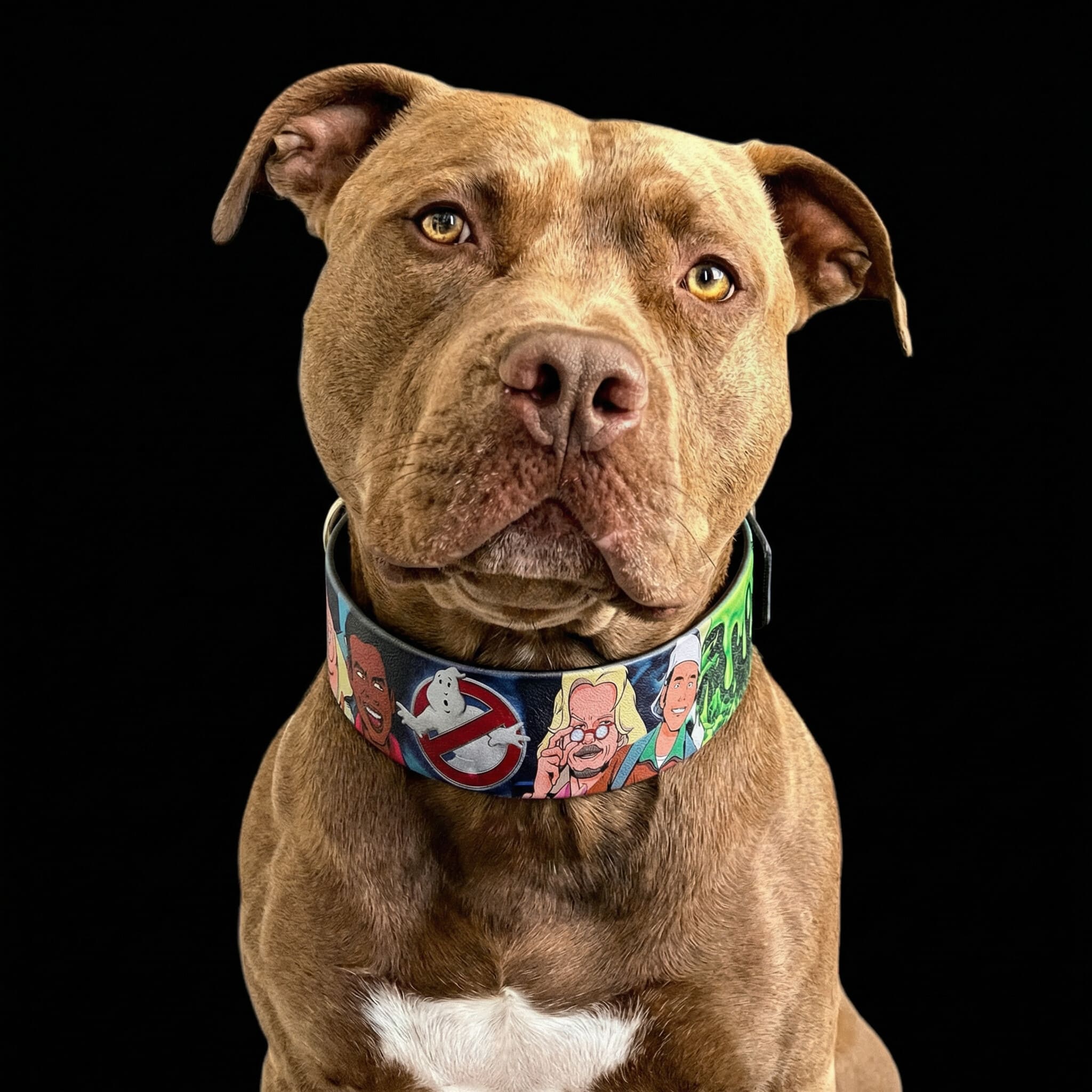 The “Ghostbuster” collar -LIMITED 