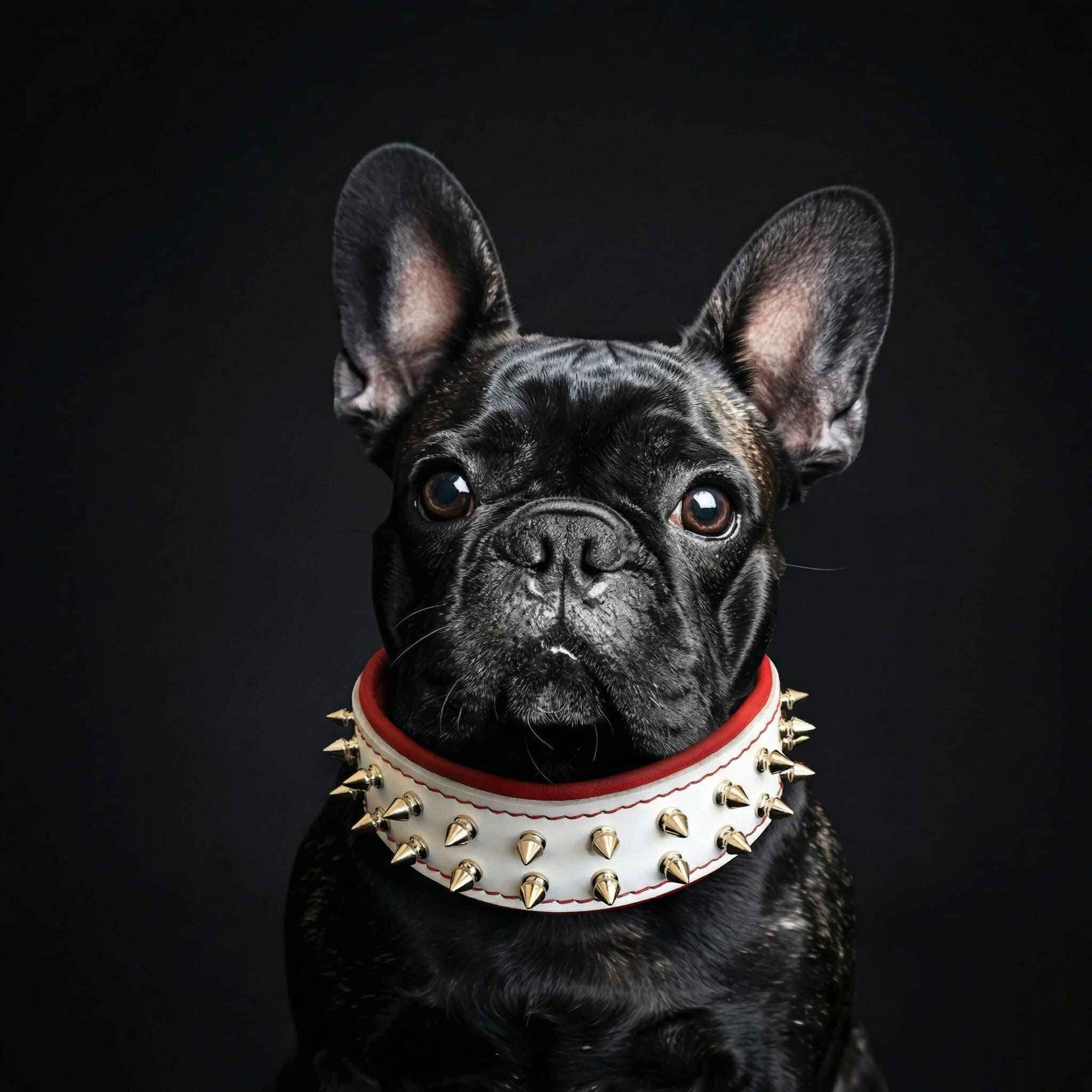 Bestia White Frenchie Leather Dog Collar