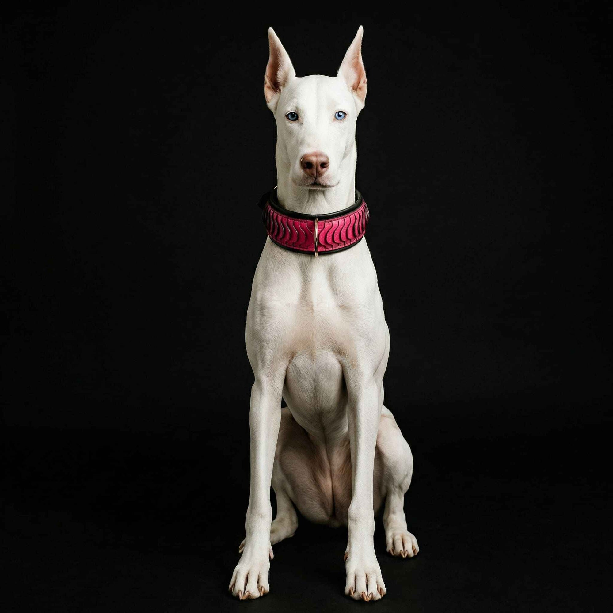 Bestia Spine Leather Dog Collar