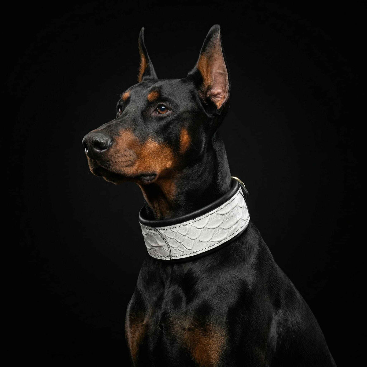 Bestia Dragon Scale Limited Edition Exclusive Design Leather Dog Collar