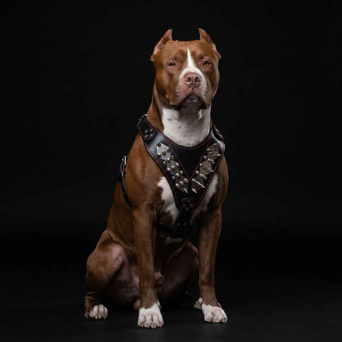 Bestia Steel Leather Dog Harness