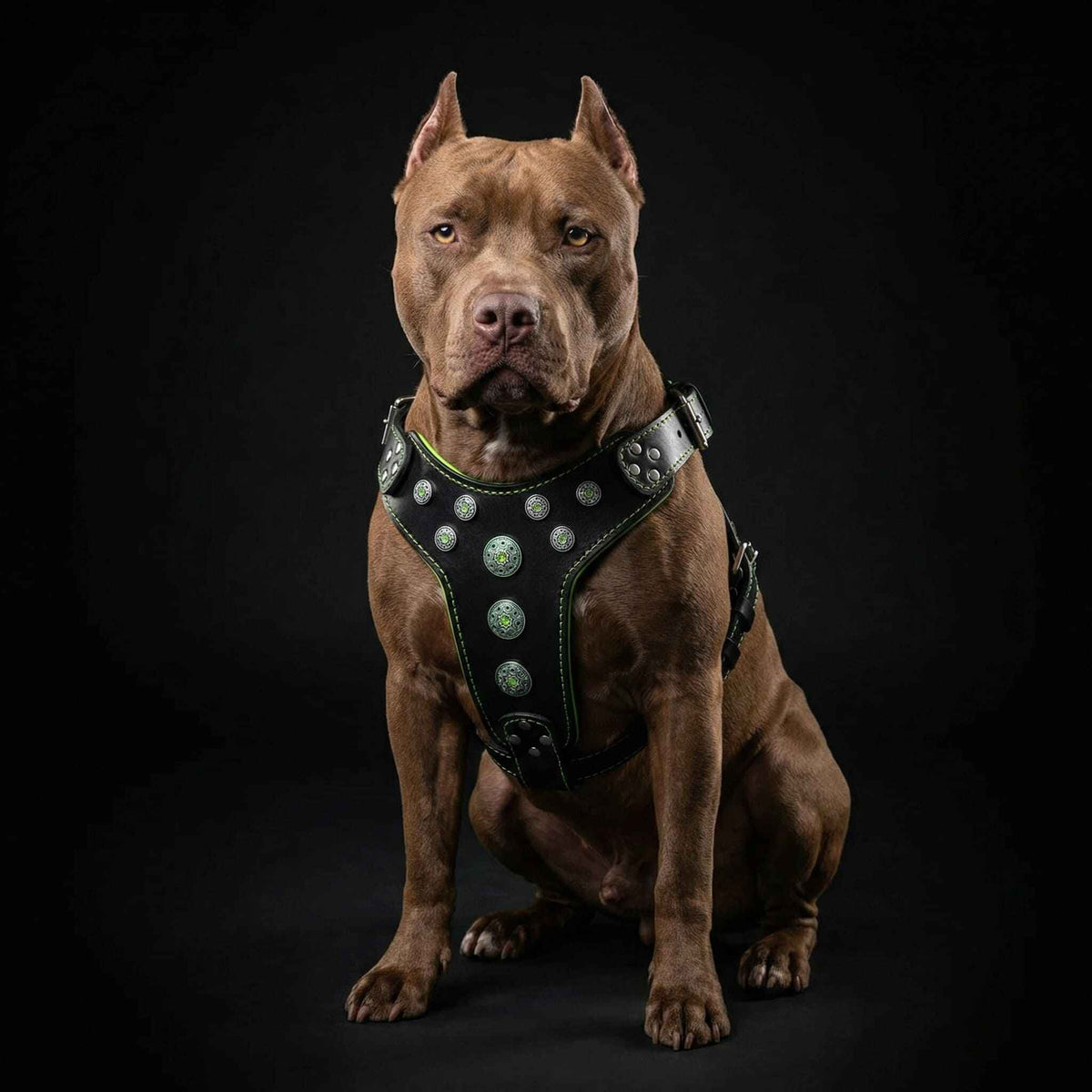 Bestia Bijou Black & Green Leather Large Breed Dog Harness