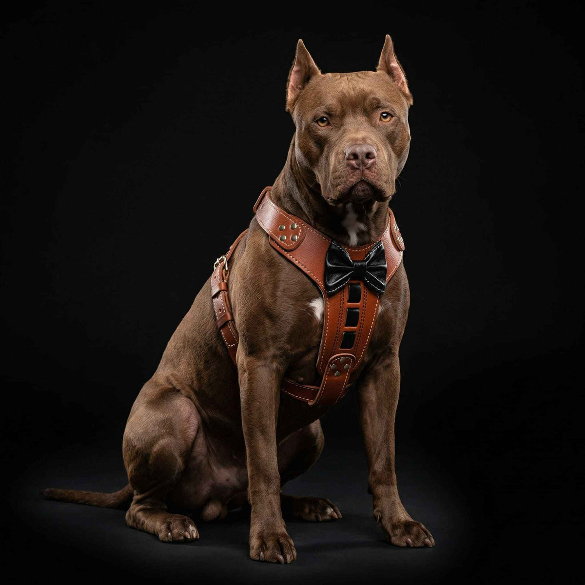 Bestia Bowtie Leather Dog Harness