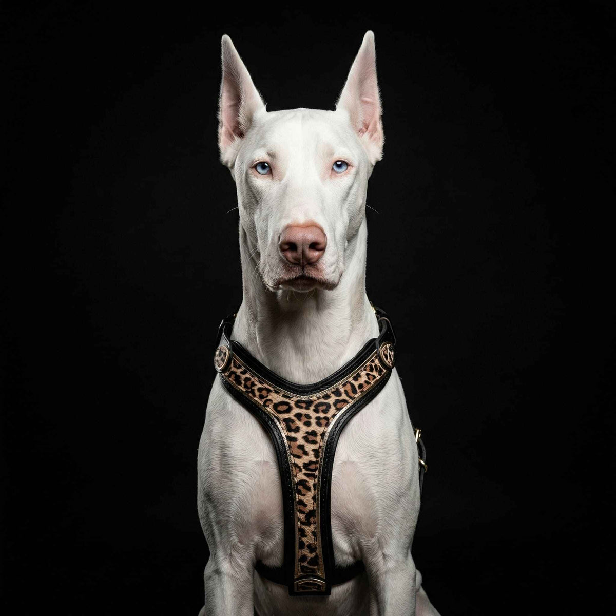 Bestia Leopard Leather Dog Harness