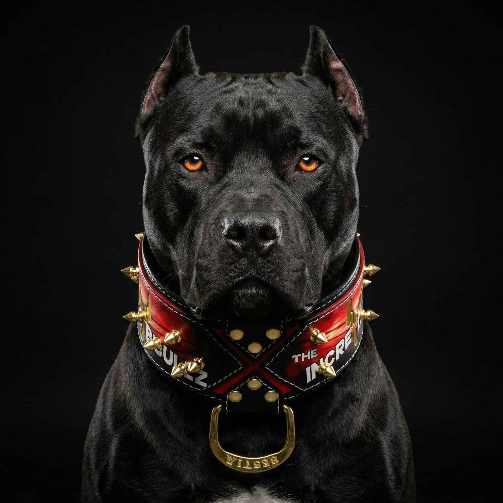 Bestia The Incredibullz Royalty Leather Dog Collar
