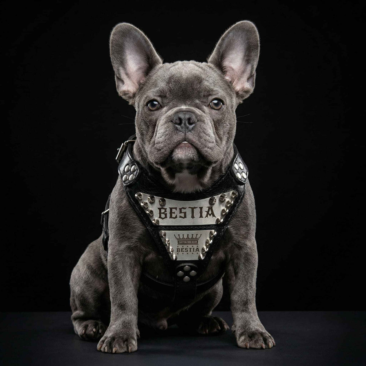 Bestia Metal Personalized Leather Small to Medium Dog Harness