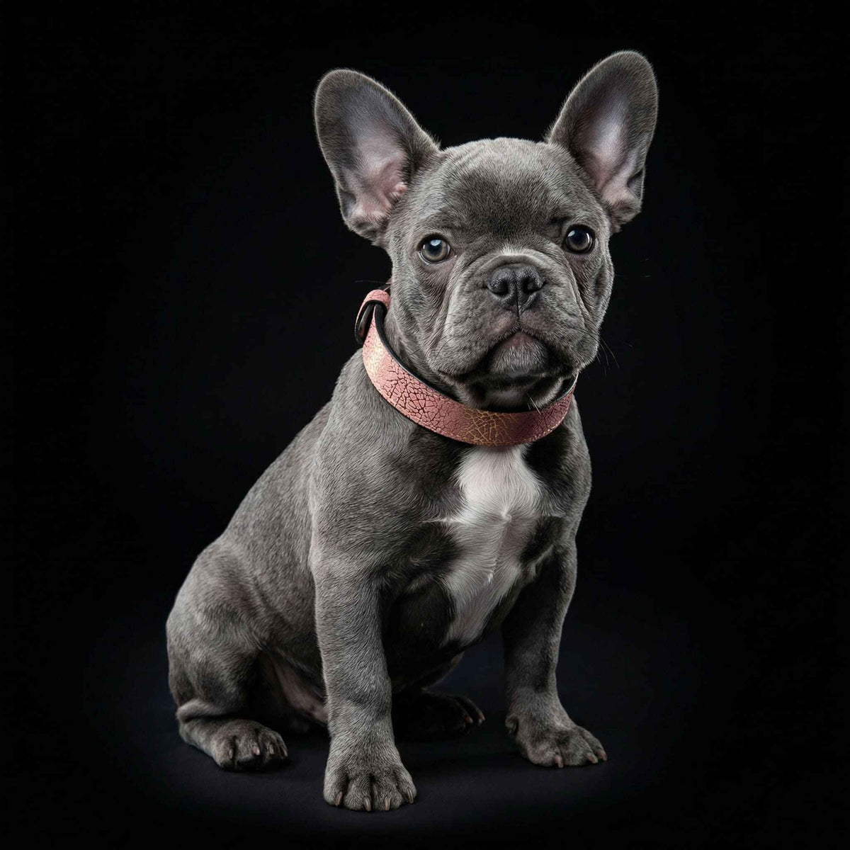 Bestia Nostalgia Rose Leather Puppy Collar