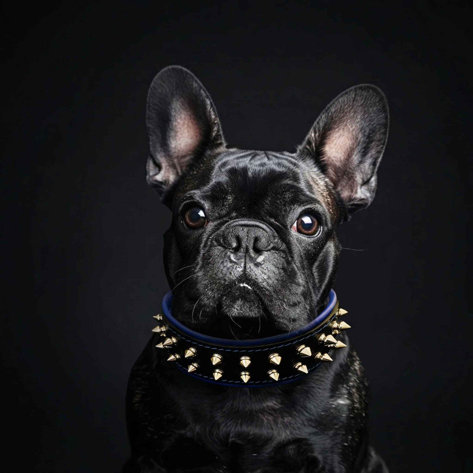 Bestia Frenchie Leather Dog Collar