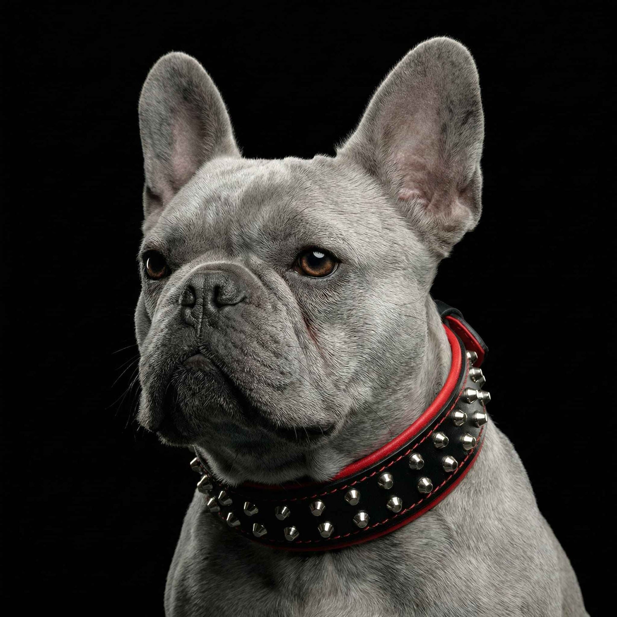 Bestia Rocky Leather Dog Collar