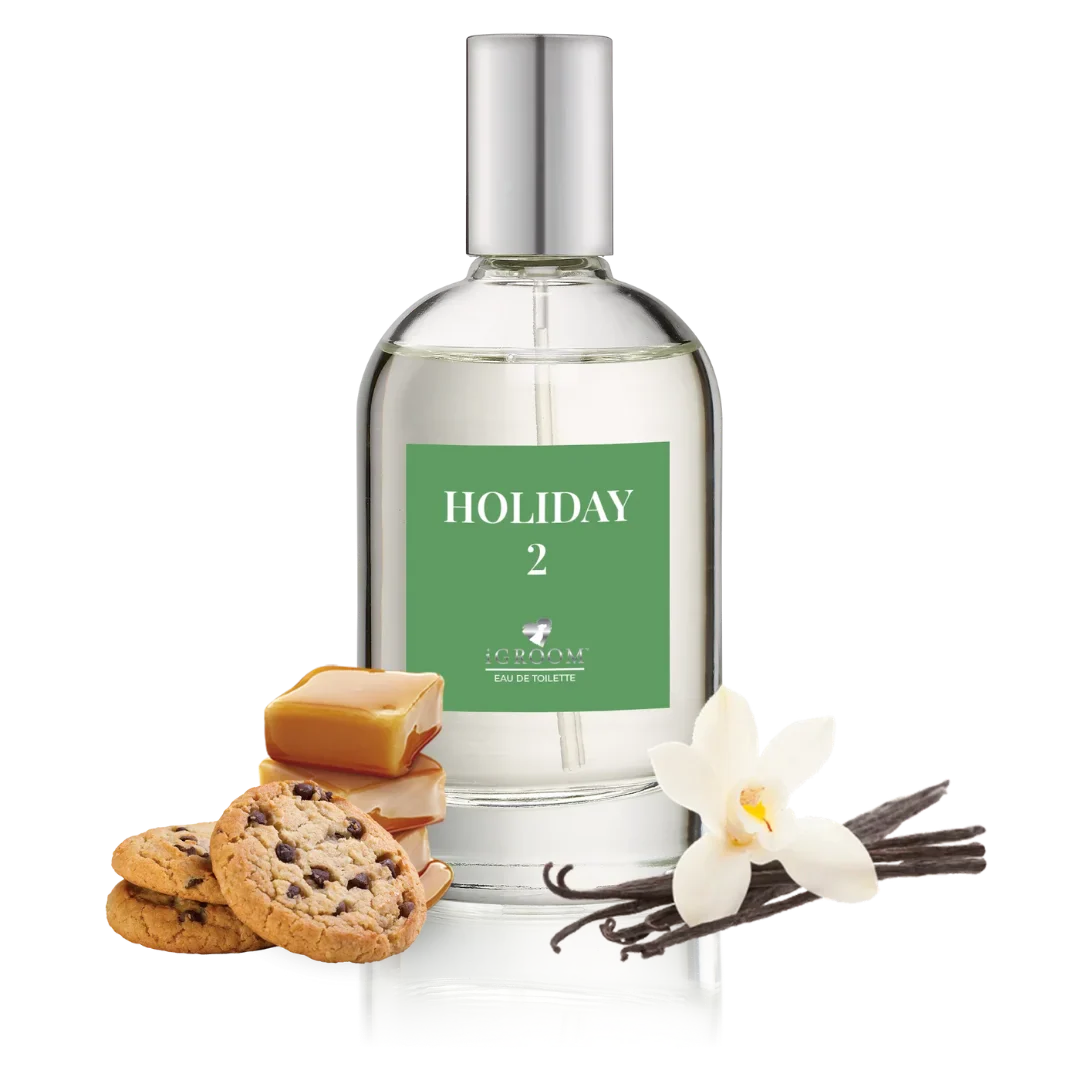 Holiday 2 Perfume 100ml by iGroom