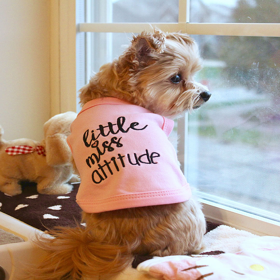 Parisian Pet Little Miss Attitude Pet Shirt-Pink