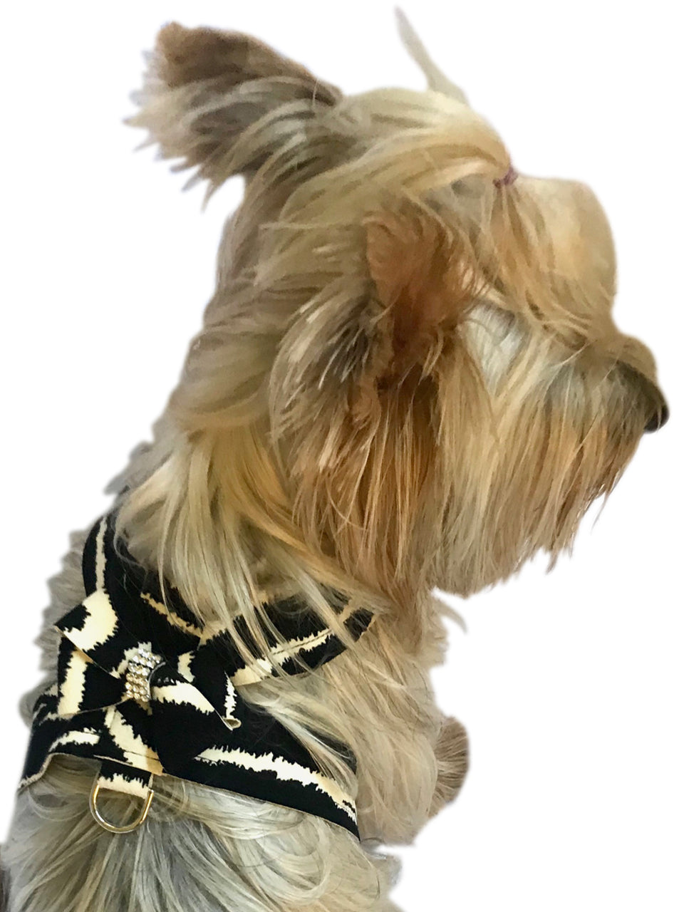 Hollywood Bow Dog Harness, Zebra