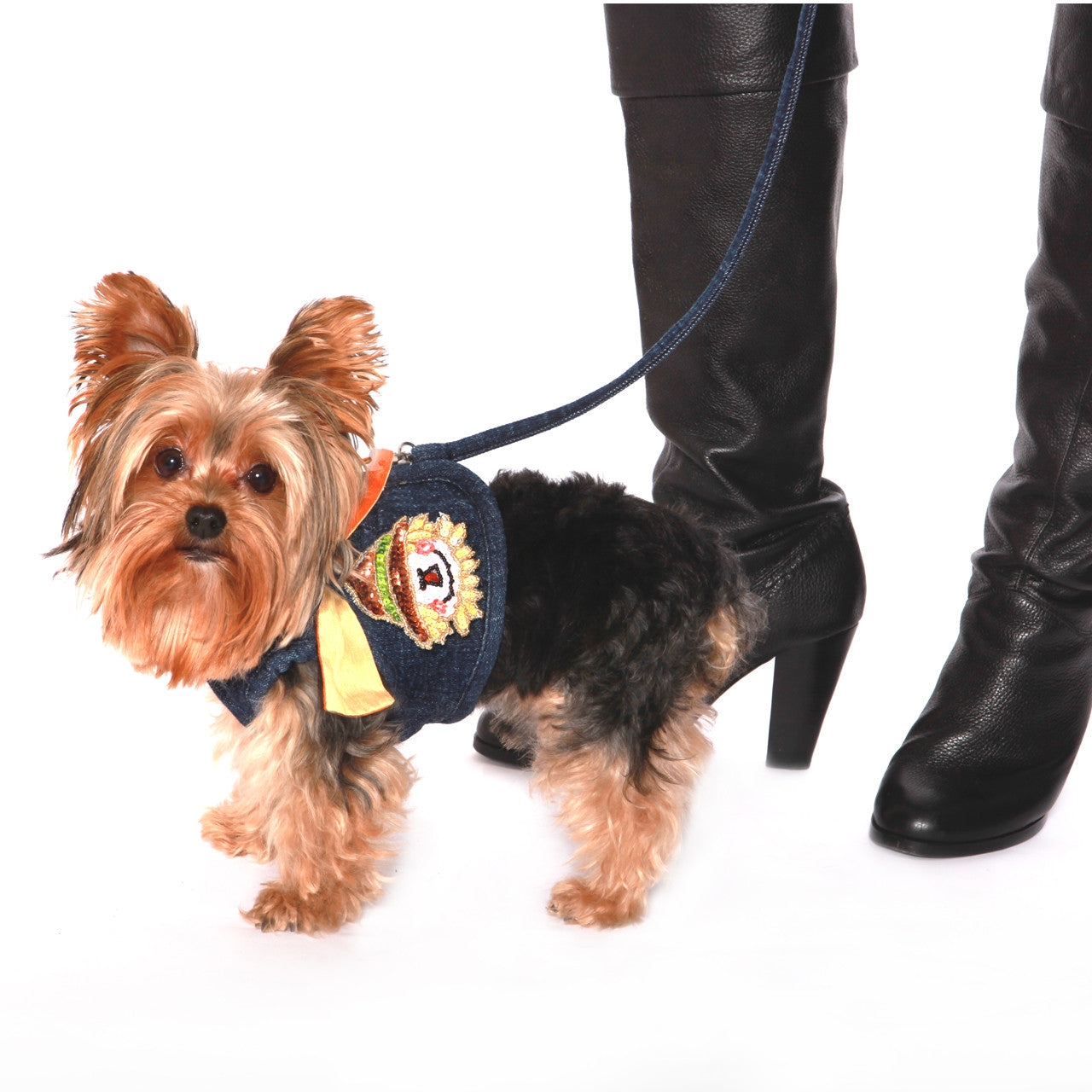 The Hollywood Silk Ties (Harness Vest Sold Separately)