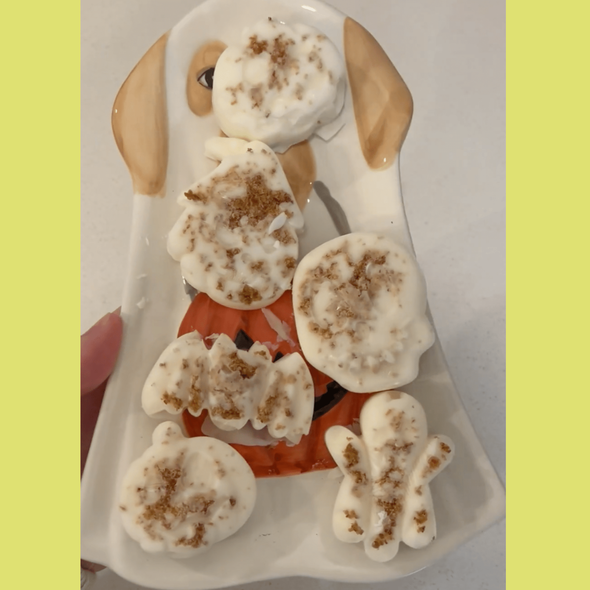 Farm To Pet Pet Treat Molds