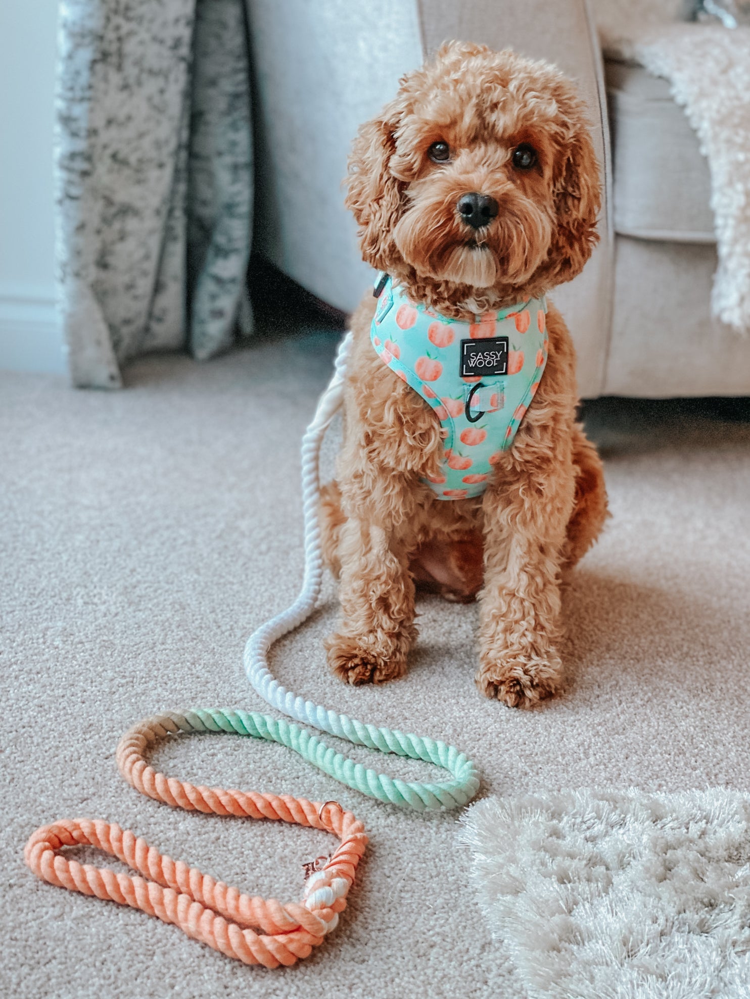 Dog Rope Leash - Honeydew