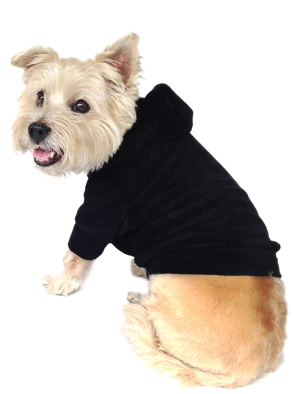 Velour Pullover Hoodie, Black