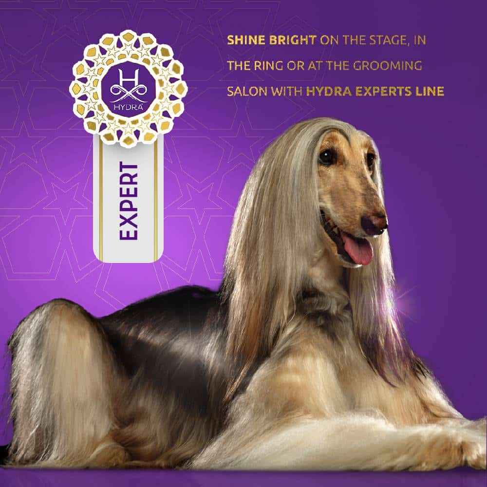 Hydra Expert Glossy Repair 4.06oz