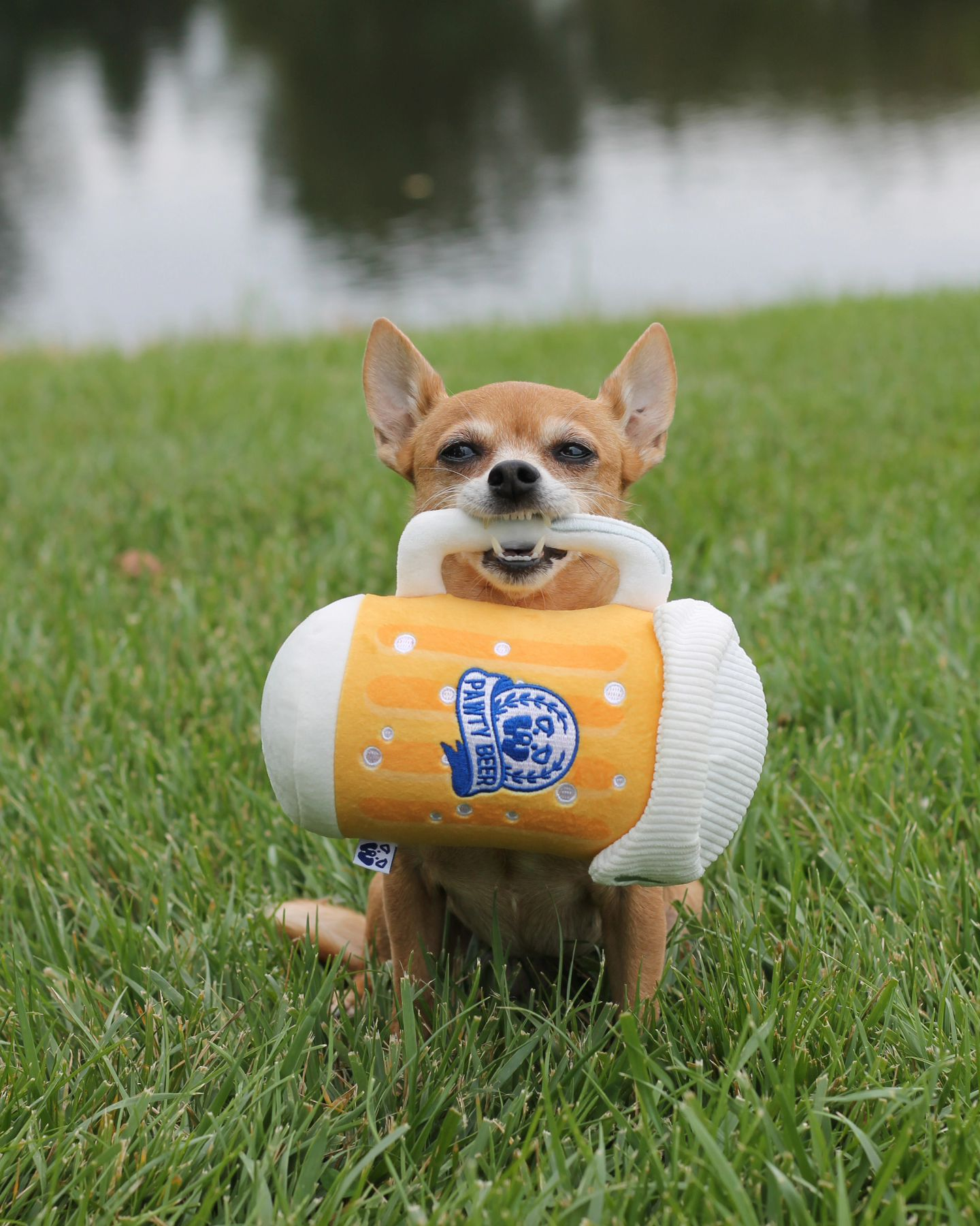 PAWTY BEER PLUSH DOG TOY