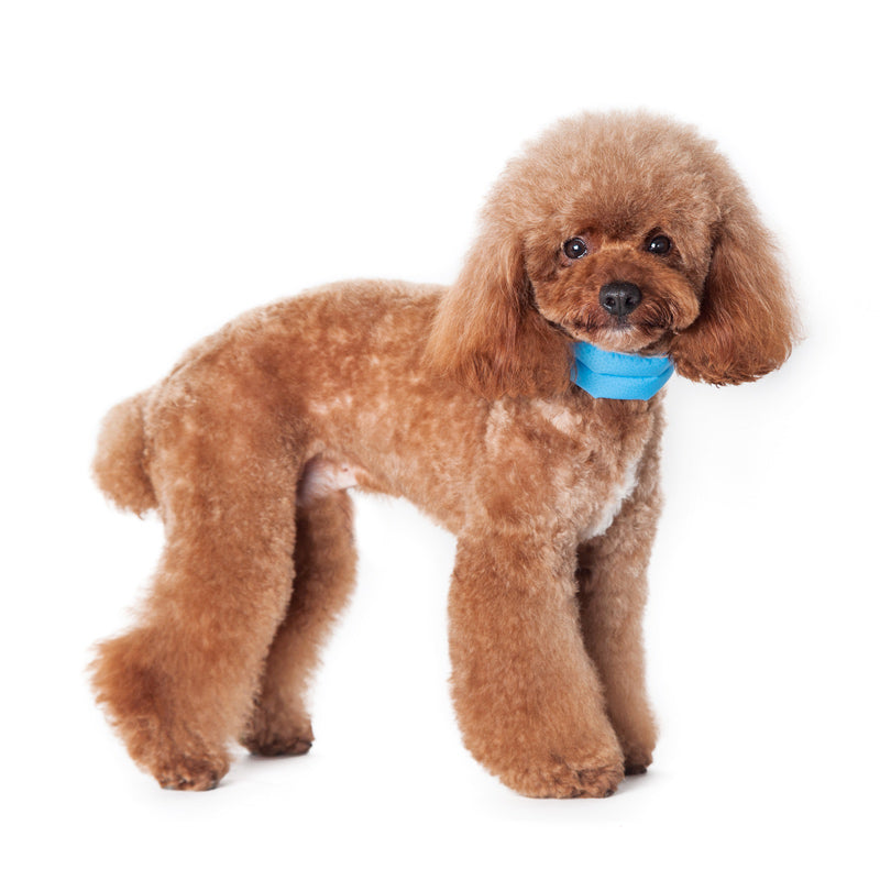 DOGO iCool Cooling Dog Scarf