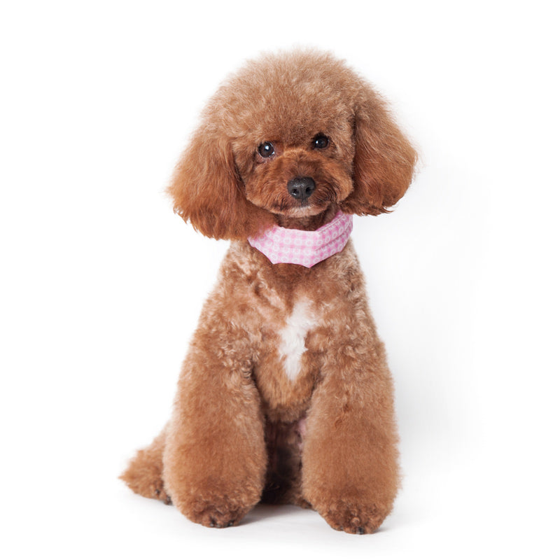 DOGO iCool Cooling Dog Scarf