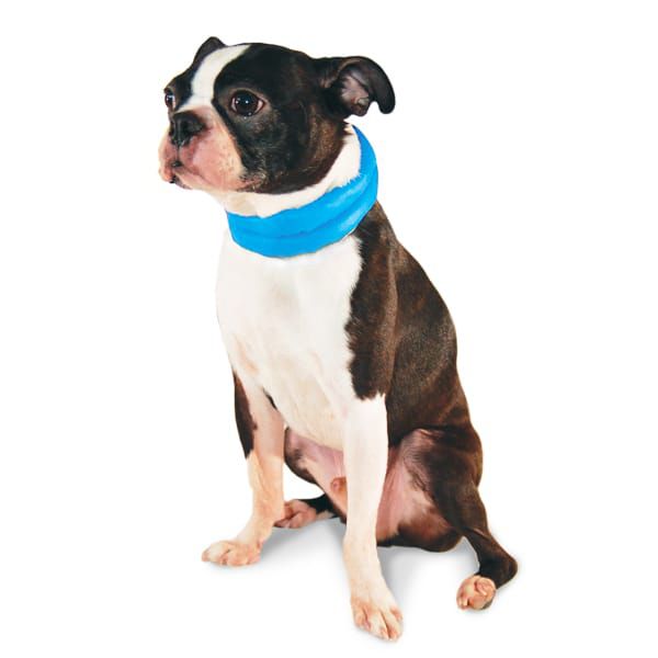 DOGO iCool Cooling Dog Scarf