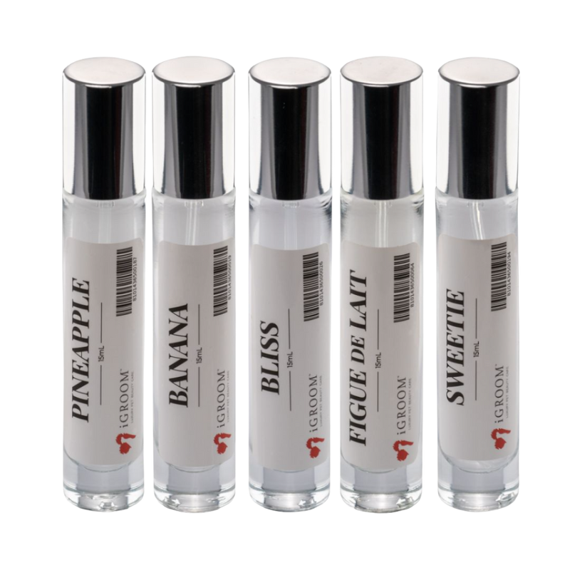 iGroom Five Best Seller Perfume Bundle 15ml