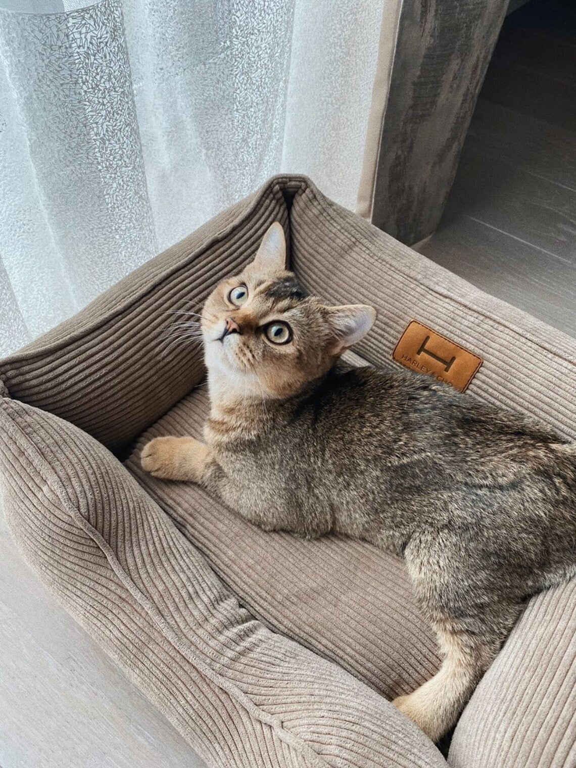 Corduroy Cat Bed Dreamer