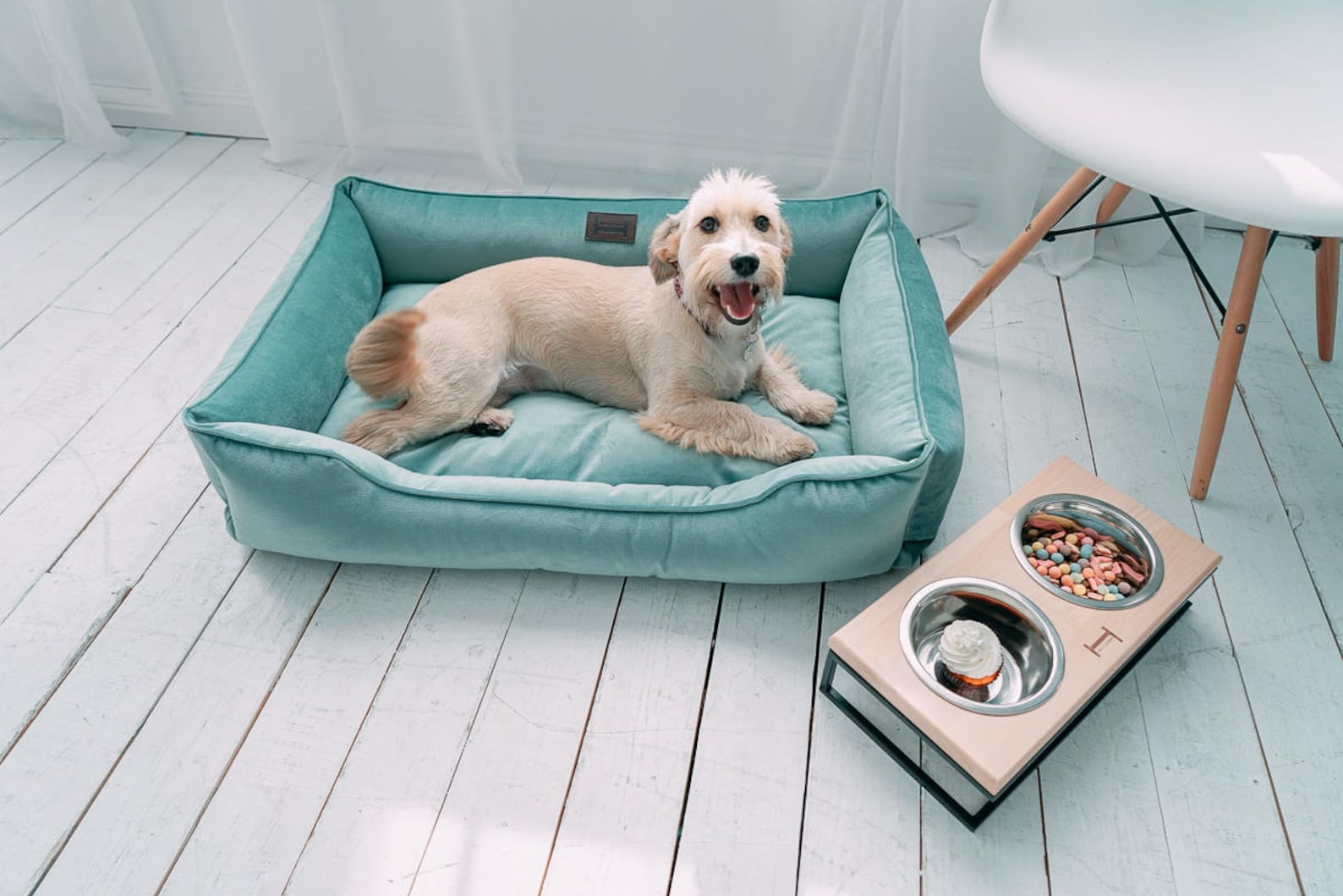 Velvet Dog Bed Dreamer