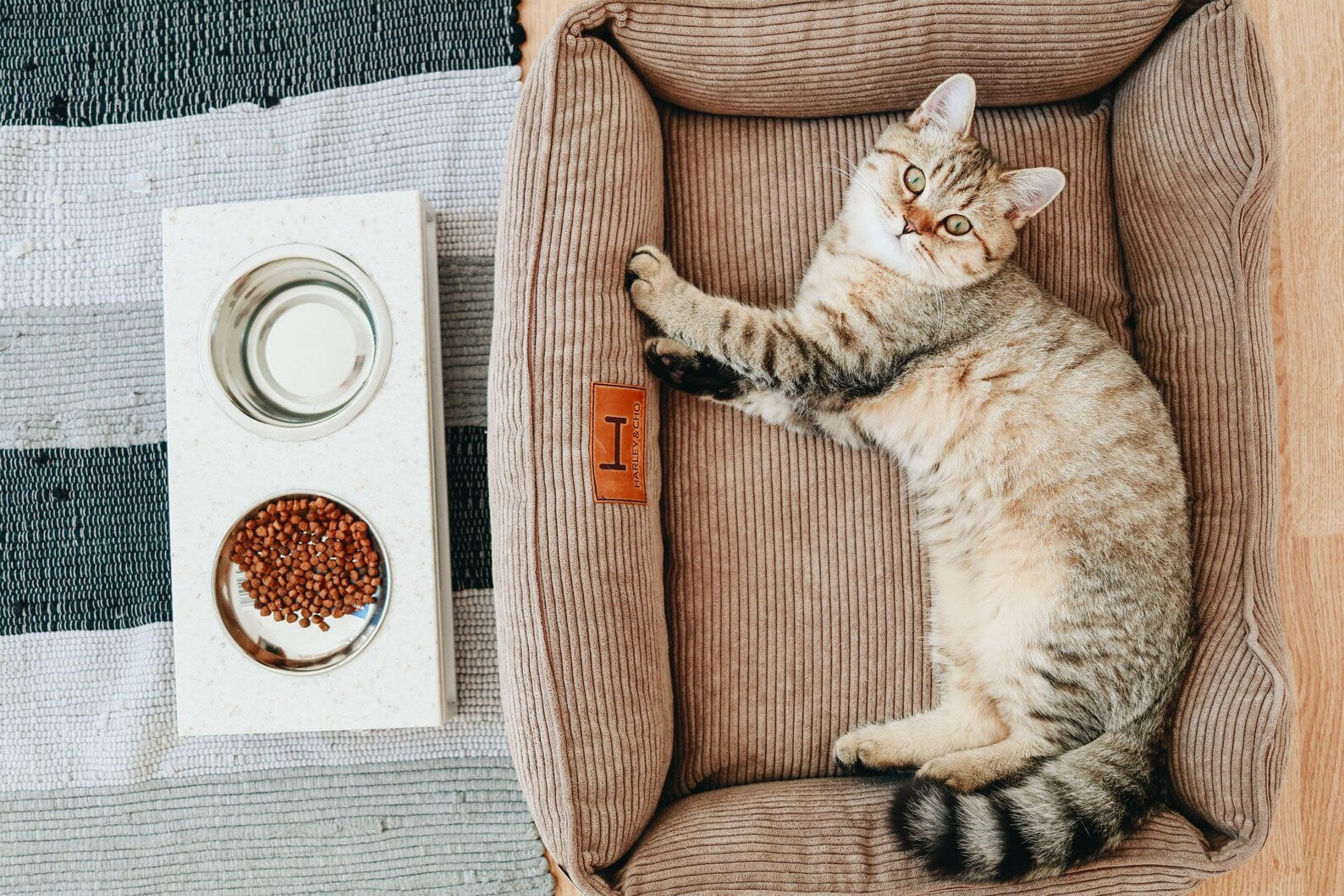 Corduroy Cat Bed Dreamer