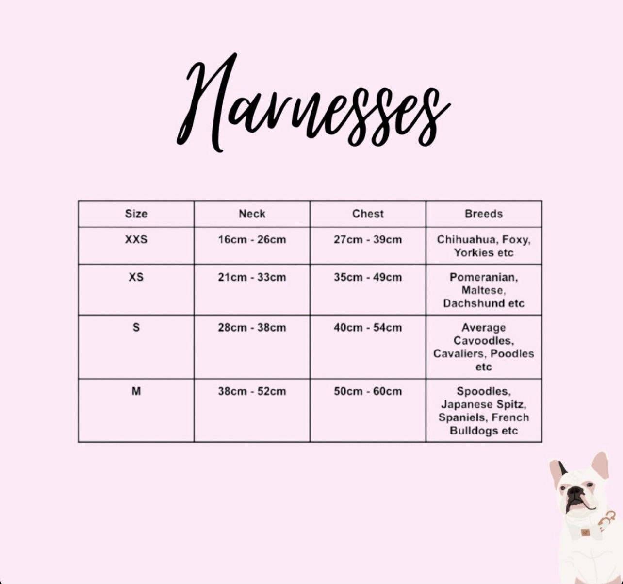 Dog/Cat Harness Blue/Red- Check