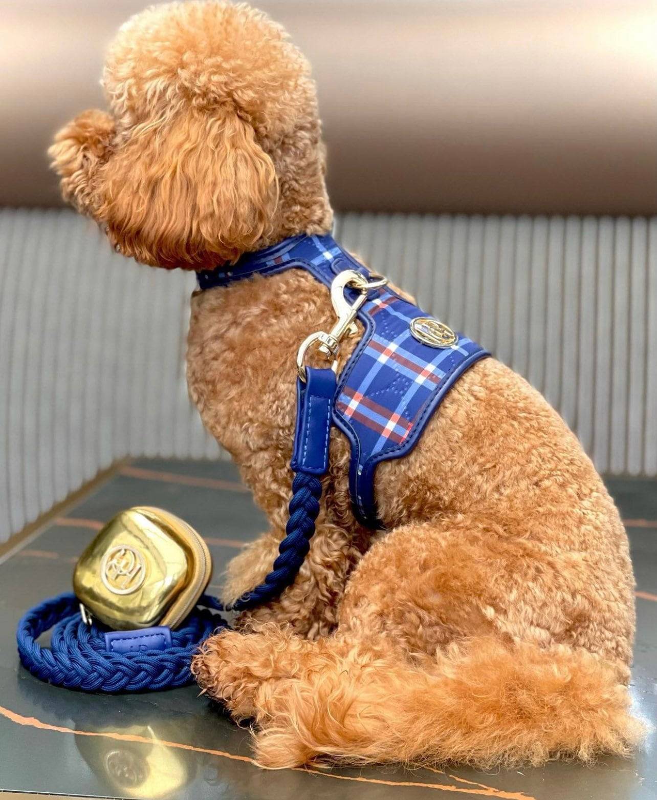 Dog/Cat Harness Blue/Red- Check