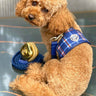Dog/Cat Harness Blue/Red- Check