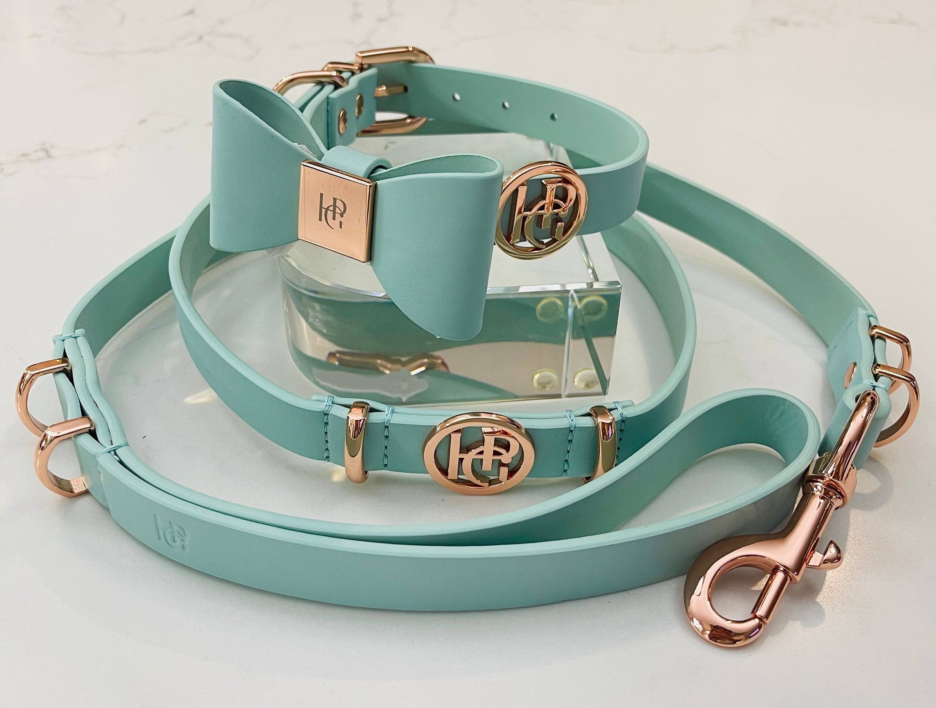 Leather Bow Collar/Lead - Aquamarine
