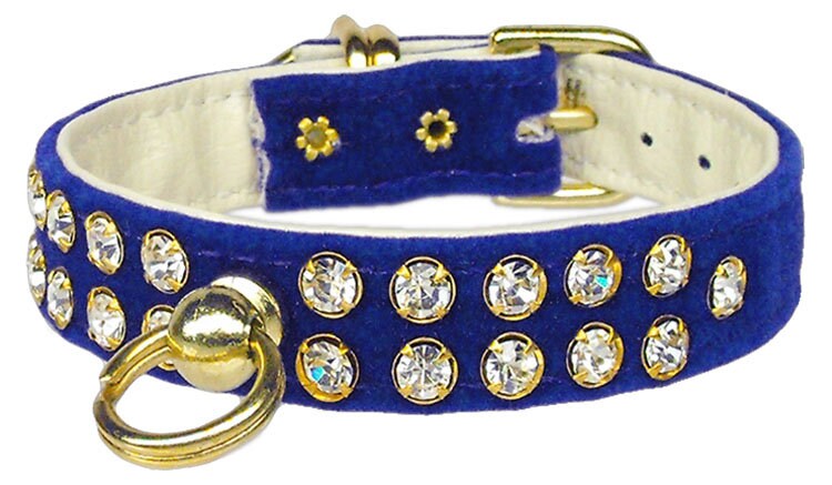 Dog, Puppy and Pet Collar, 
