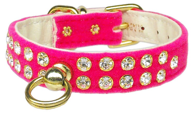 Dog, Puppy and Pet Collar, 