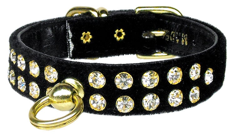Dog, Puppy and Pet Collar, 