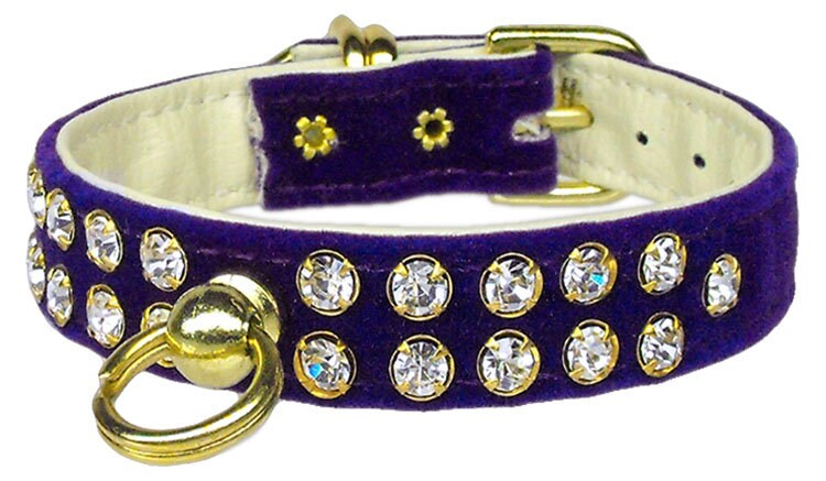 Dog, Puppy and Pet Collar, 