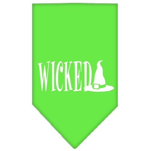 As You Wish Apparel – "Wicked" Halloween Pet Bandana