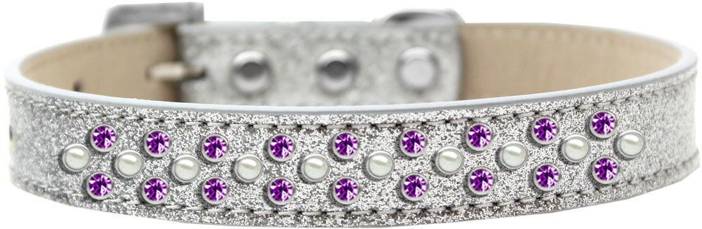 Dog, Puppy & Pet Ice Cream Collar, 
