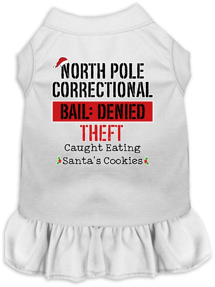 As You Wish Apparel – "North Pole Correctional" Christmas Pet Dress