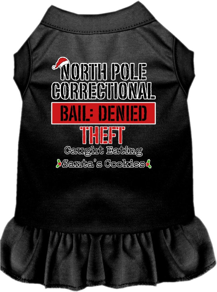 As You Wish Apparel – "North Pole Correctional" Christmas Pet Dress