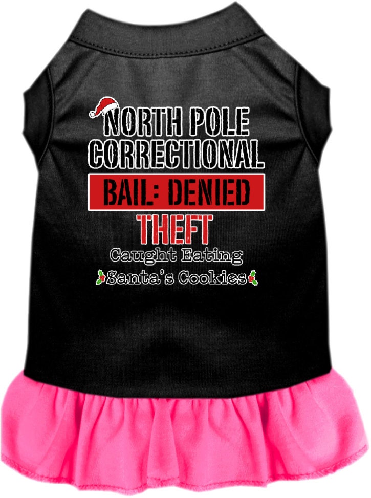 As You Wish Apparel – "North Pole Correctional" Christmas Pet Dress