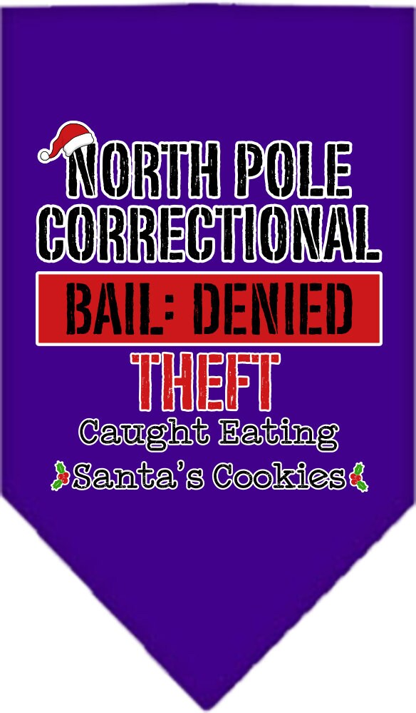 As You Wish Apparel – "North Pole Correctional" Christmas Pet Bandana