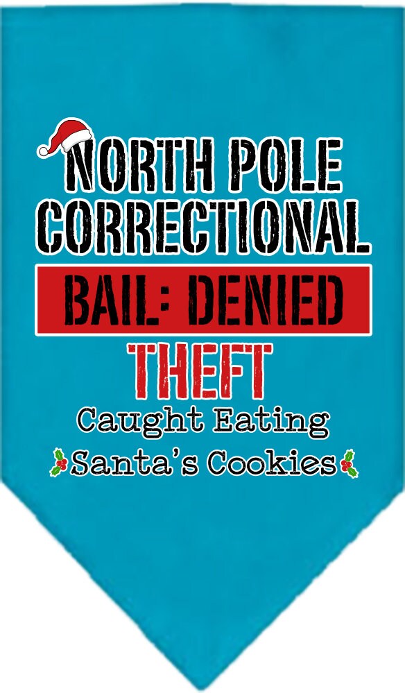 As You Wish Apparel – "North Pole Correctional" Christmas Pet Bandana