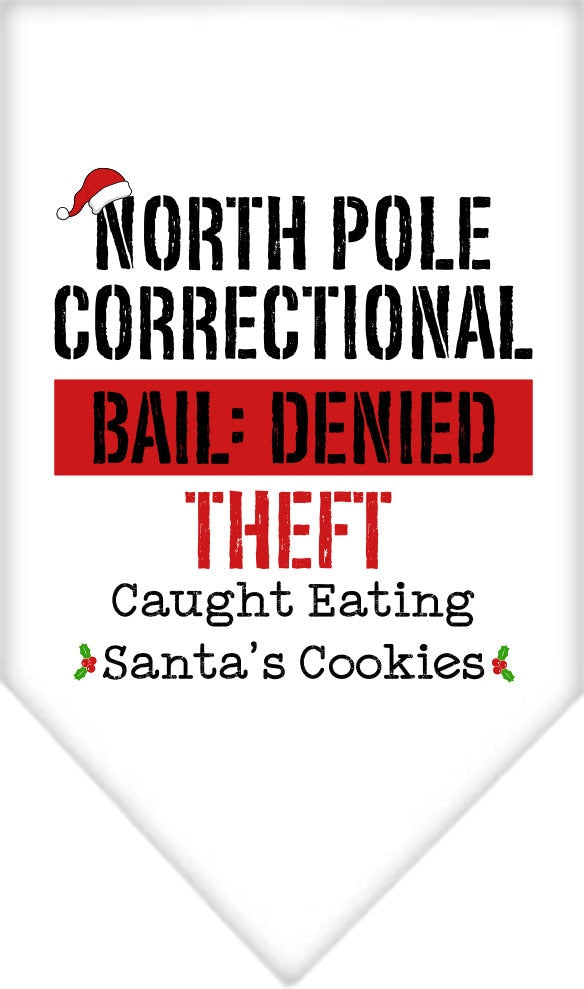 As You Wish Apparel – "North Pole Correctional" Christmas Pet Bandana