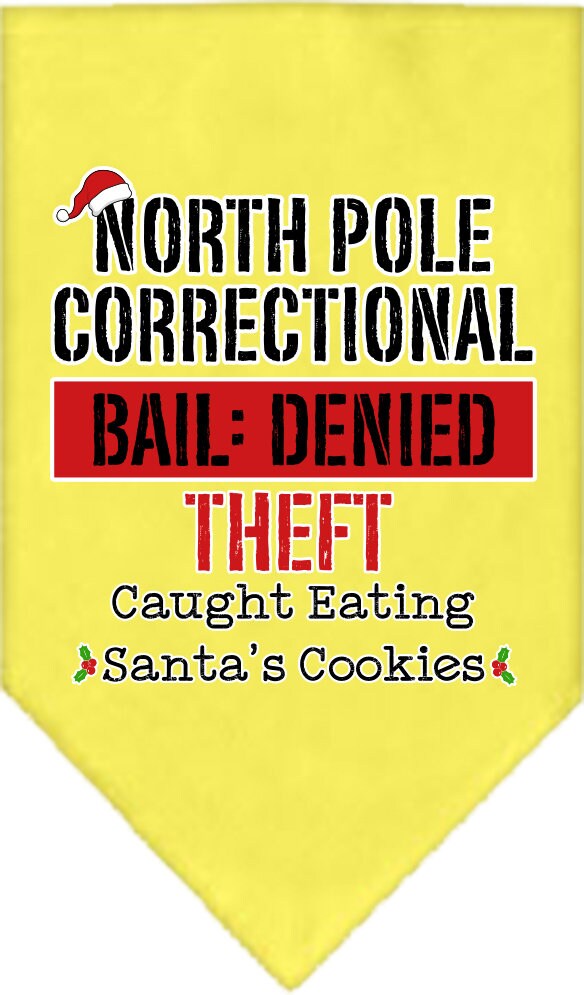 As You Wish Apparel – "North Pole Correctional" Christmas Pet Bandana