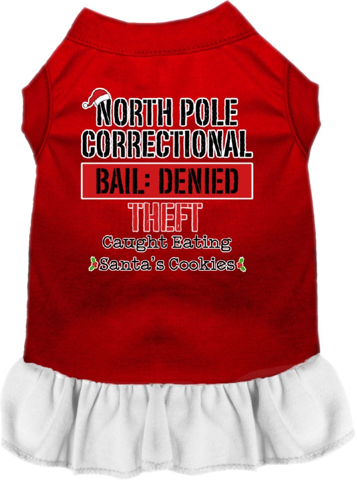As You Wish Apparel – "North Pole Correctional" Christmas Pet Dress