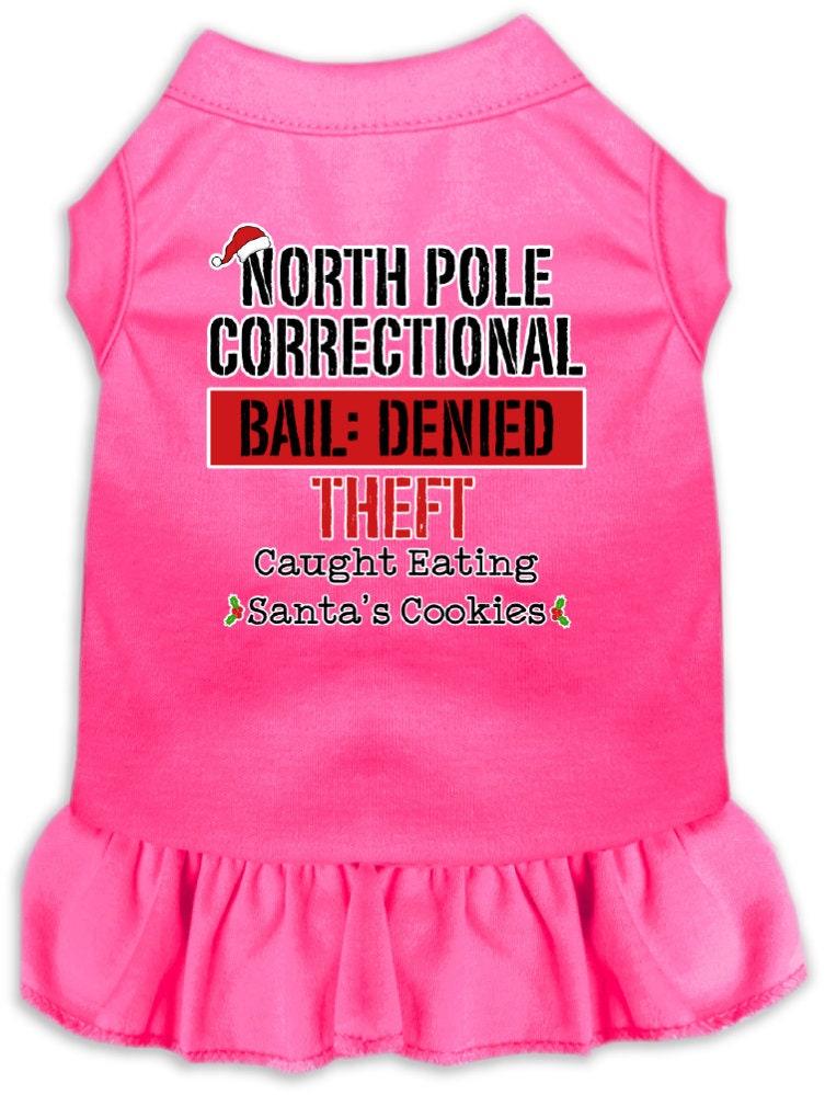 As You Wish Apparel – "North Pole Correctional" Christmas Pet Dress
