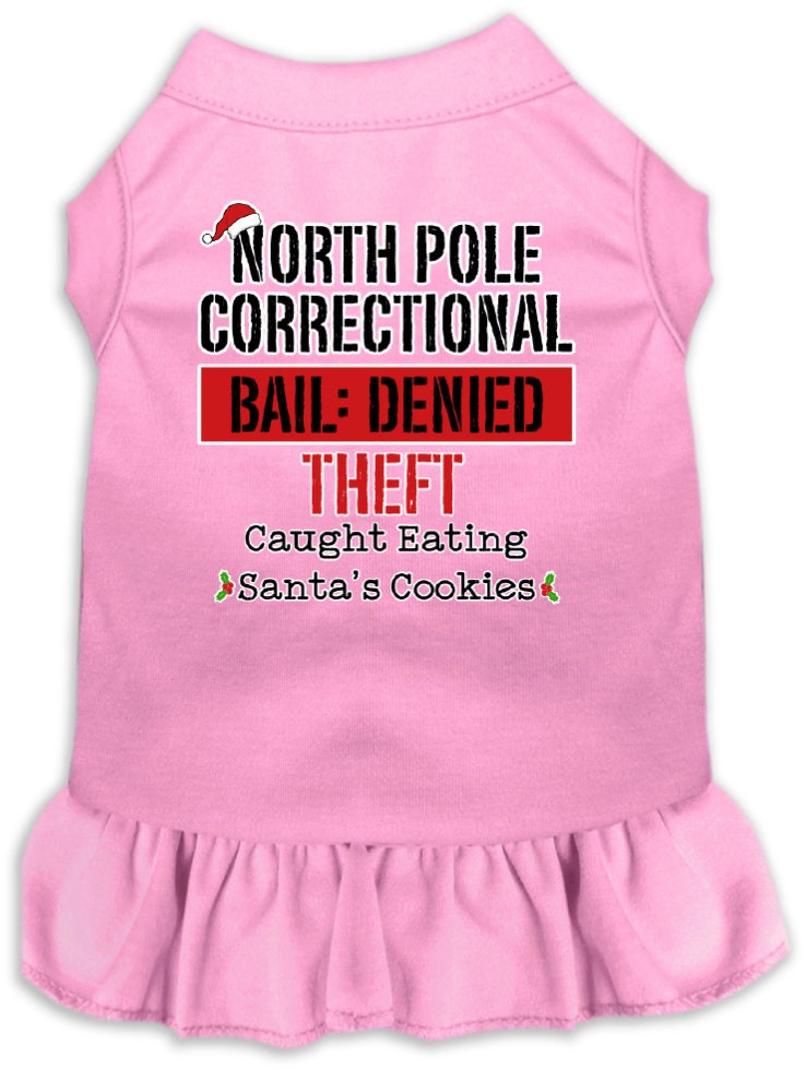 As You Wish Apparel – "North Pole Correctional" Christmas Pet Dress